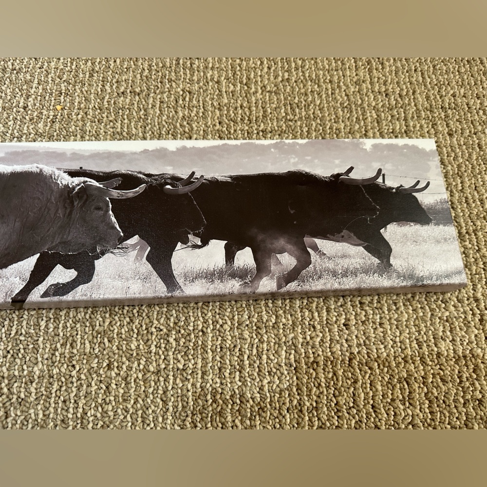 Bull Canvas Sign - Picture 3 of 4